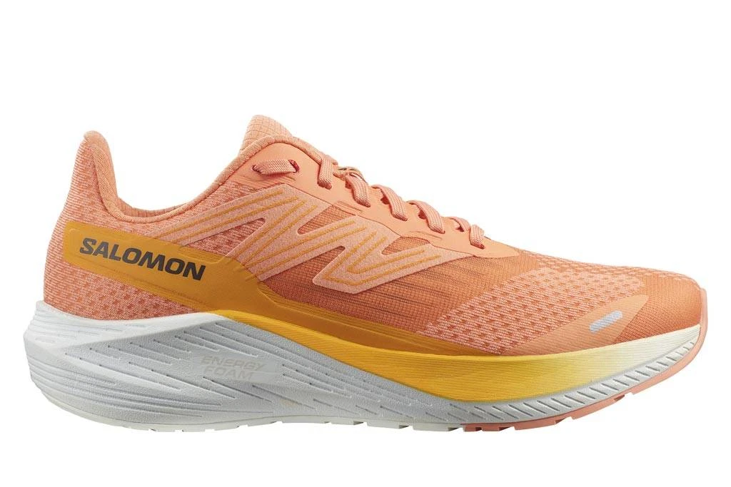 SALOMON Aero Blaze (Damen) 1 SALOMON Aero Blaze (Damen)