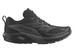 SALOMON Sense Ride 5 GTX (Damen)
